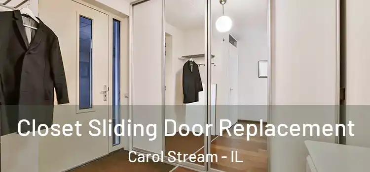 Closet Sliding Door Replacement Carol Stream - IL