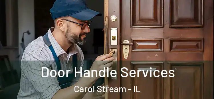 Door Handle Services Carol Stream - IL