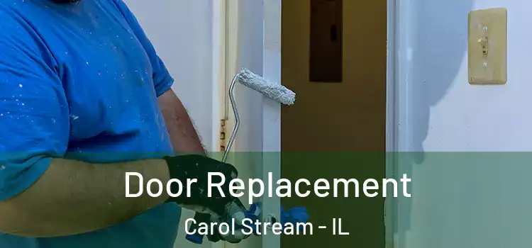  Door Replacement Carol Stream - IL