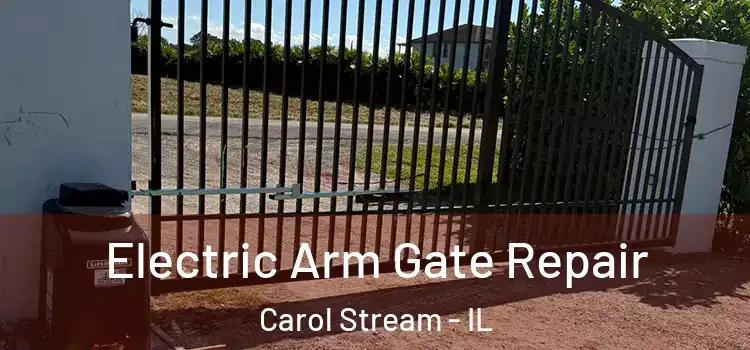 Electric Arm Gate Repair Carol Stream - IL