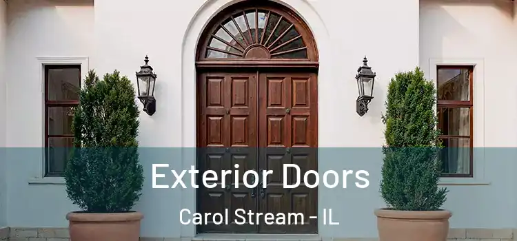 Exterior Doors Carol Stream - IL
