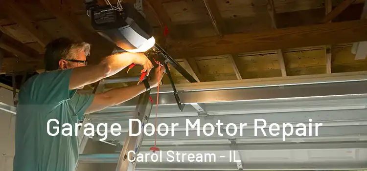  Garage Door Motor Repair Carol Stream - IL