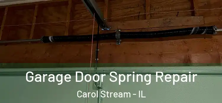  Garage Door Spring Repair Carol Stream - IL