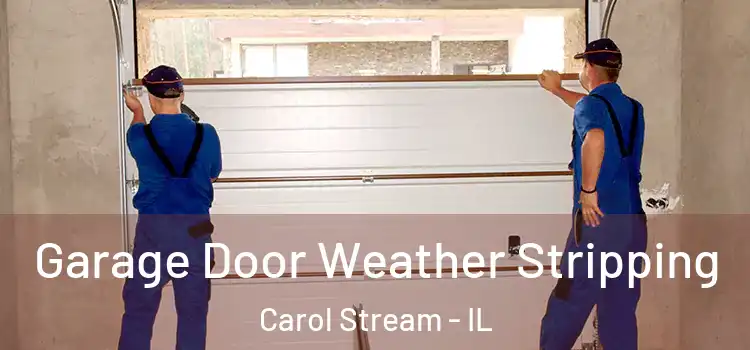  Garage Door Weather Stripping Carol Stream - IL