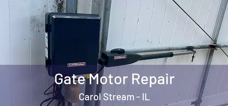 Gate Motor Repair Carol Stream - IL