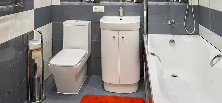 Hansgrohe Shaving Mirror Carol Stream