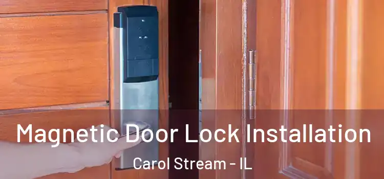 Magnetic Door Lock Installation Carol Stream - IL