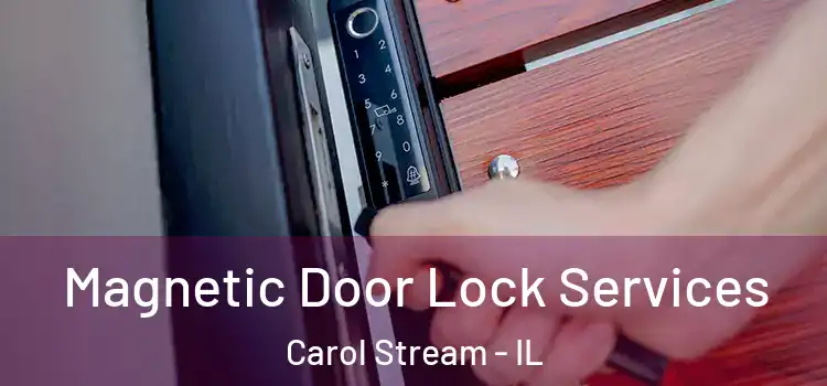 Magnetic Door Lock Services Carol Stream - IL