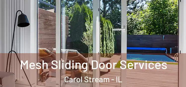 Mesh Sliding Door Services Carol Stream - IL