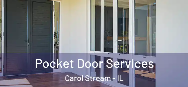 Pocket Door Services Carol Stream - IL