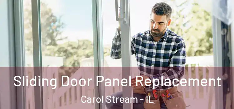  Sliding Door Panel Replacement Carol Stream - IL