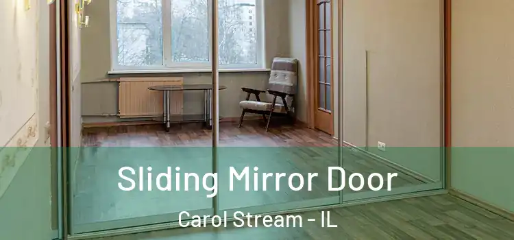 Sliding Mirror Door Carol Stream - IL