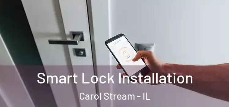 Smart Lock Installation Carol Stream - IL