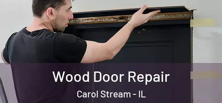 Wood Door Repair Carol Stream - IL